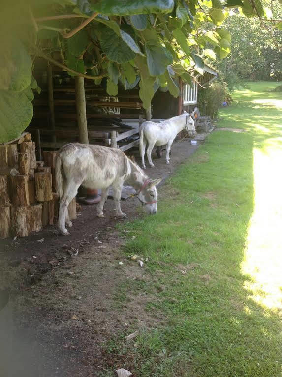 Doolans Country Retreat B&B โรโตรัว ภายนอก รูปภาพ